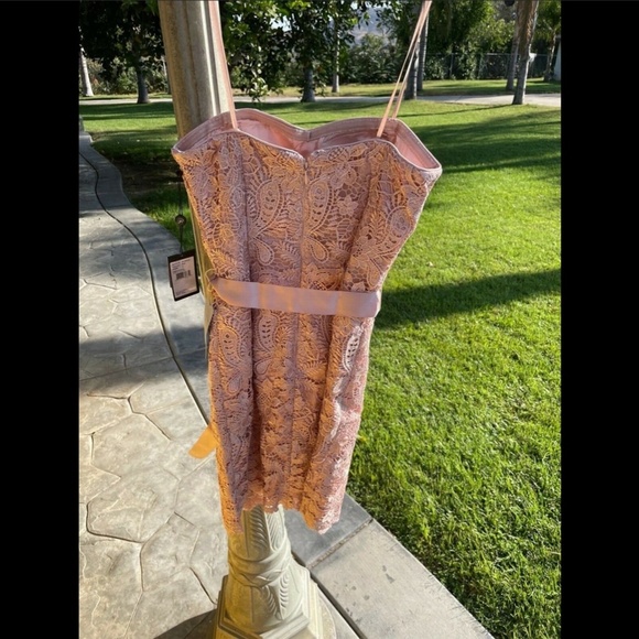 NWT Adrianna Papell‎ Sweetheart Strapless Lace Sheath Dress in Blush [size 4 ] - Picture 3 of 8